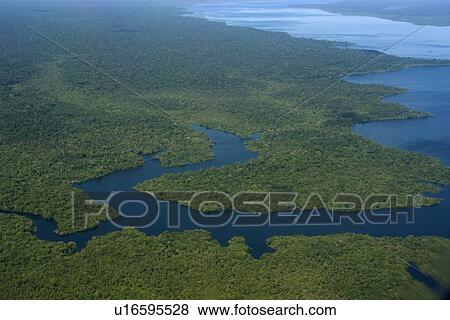 Flooded tropical rain forest, aerial view, Amazonas, Brazil View Large Photo Image Stock Photo - Flooded tropical rain forest, aerial view, Amazonas, Brazil. Fotosearch