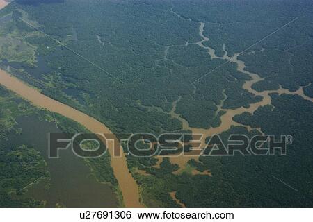 Flooded tropical rain forest, aerial view, Amazonas, Brazil View Large Photo Image Stock Photograph - Flooded tropical rain forest, aerial view, Amazonas, Brazil. Fotosearch