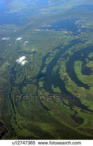 Flooded tropical rain forest, aerial view, Amazonas, Brazil View Large Photo Image Stock Photography - Flooded tropical rain forest, aerial view, Amazonas, Brazil. Fotosearch