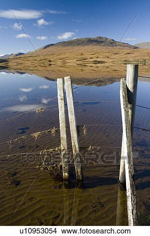 Freshwater loch. Black Mount by Rannoch Moor near Glencoe, Scotland. View Large Photo Image Picture - Freshwater loch. Black Mount by Rannoch Moor near Glencoe, Scotland.. Fotosearch