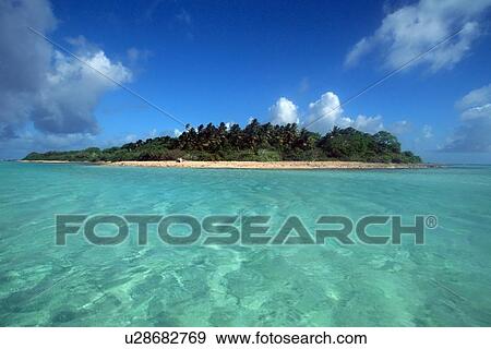 Gabelle Island, Rongelap, Marshall Islands (N. Pacific) View Large Photo Image Stock Photo - Gabelle Island, Rongelap, Marshall Islands (N. Pacific). Fotosearch