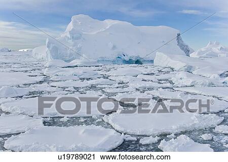 Iceberg detail in and around the Antarctic Peninsula during the summer months. More icebergs are being created as global warming is causing the breakup of major ice shelves and glaciers. View Large Photo Image Stock Image - Iceberg detail in and around the Antarctic Peninsula during the summer months. More icebergs are being created as global warming is causing the breakup of major ice shelves and glaciers.. Fotosearch