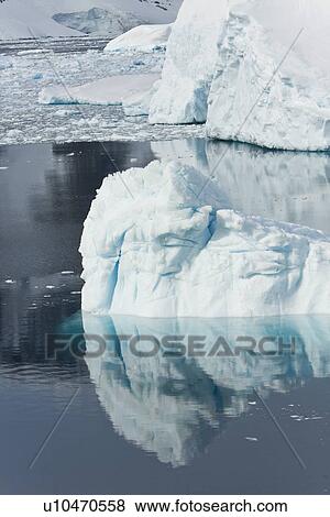 Icebergs and brash ice reflected in calm waters on the west side of the Antarctic peninsula, Antarctica. View Large Photo Image Stock Photo - Icebergs and brash ice reflected in calm waters on the west side of the Antarctic peninsula, Antarctica.. Fotosearch