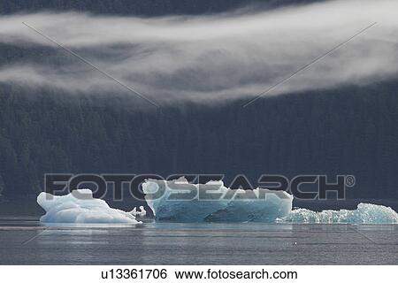 Stock Photograph - Icebergs calved off the Sawyer tidewater Glacier in Tracy Arm, Southeast Alaska, USA.. Fotosearch