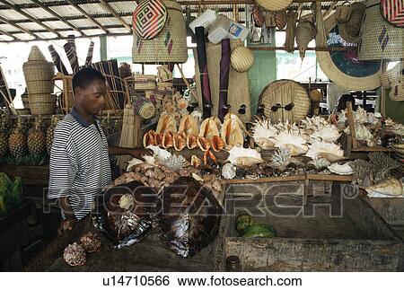 Illegal trading of turtle shells in fish market. Dar es Salaam, Tanzania View Large Photo Image Stock Photograph - Illegal trading of turtle shells in fish market. Dar es Salaam, Tanzania. Fotosearch