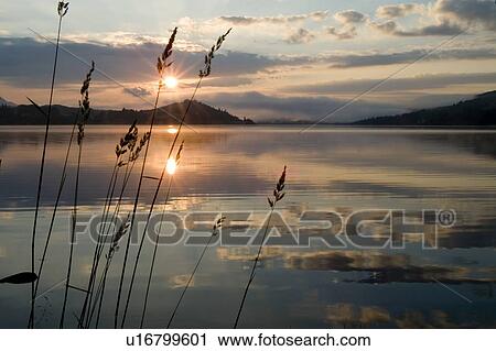Loch Awe sunrise with long grass in foreground. Argyll, Scotland View Large Photo Image Stock Image - Loch Awe sunrise with long grass in foreground. Argyll, Scotland. Fotosearch