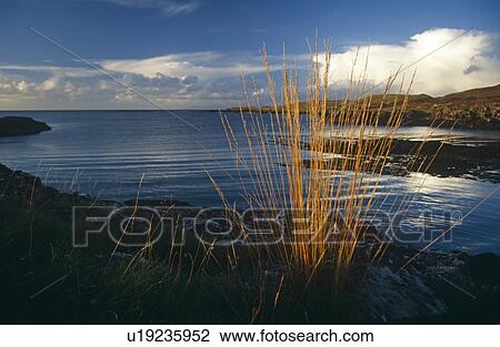 Stock Image - Loch Cuin, Isle of Mull. Hebrides, Scotland. Fotosearch