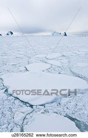 Multi-year ice floes on the west side of the Antarctic Peninsula. View Large Photo Image Stock Image - Multi-year ice floes on the west side of the Antarctic Peninsula.. Fotosearch