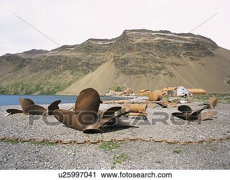 Stock Image - Old boat propellers left on beach after whaling station closed down, Stromness Bay, South Georgia, sub Antarctic. Fotosearch
