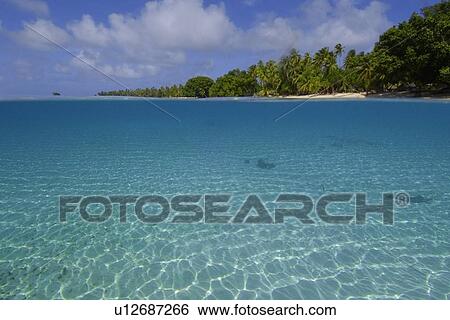 Over under image sandy bottom and trees at Majikin Island, Namu atoll, Marshall Islands (N. Pacific) View Large Photo Image Stock Photograph - Over under image sandy bottom and trees at Majikin Island, Namu atoll, Marshall Islands (N. Pacific). Fotosearch