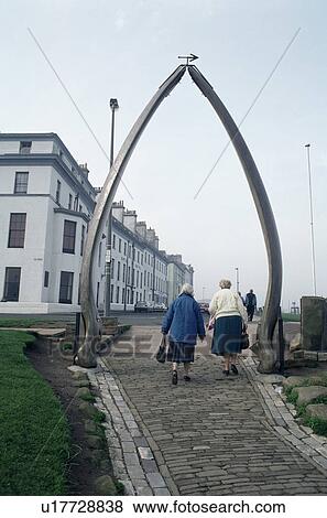 Stock Photo - People walking underneath Blue whale jawbone arch (Balaenoptera musculus) Whitby, England, UK. Fotosearch