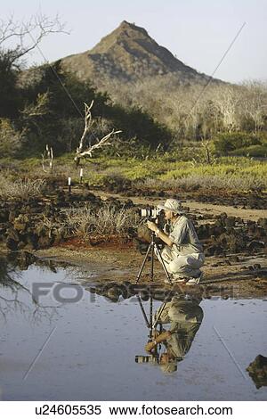 Photo class participant Douglas Wilcox taking images in the Galapagos Island Archipelago, Ecuador. Model release number DW0507. View Large Photo Image Stock Photography - Photo class participant Douglas Wilcox taking images in the Galapagos Island Archipelago, Ecuador. Model release number DW0507.. Fotosearch