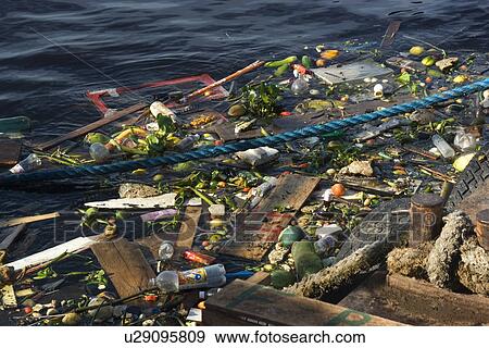 Rubbish floating in river, Port of Manaus, Amazonas, Brazil View Large Photo Image Stock Photo - Rubbish floating in river, Port of Manaus, Amazonas, Brazil. Fotosearch