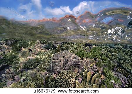 Stock Photo - Split image of pristine coral reef and sky, Rongelap, Marshall Islands, Micronesia. Fotosearch