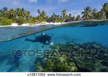 Split image of pristine coral reef and island, Rongelap, Marshall Islands, Micronesia View Large Photo Image Stock Photography - Split image of pristine coral reef and island, Rongelap, Marshall Islands, Micronesia. Fotosearch