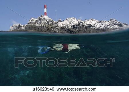 Split image of rocks and free diver, St. Peter and St. Paul's rocks, Brazil, Atlantic Ocean View Large Photo Image Stock Photograph - Split image of rocks and free diver, St. Peter and St. Paul's rocks, Brazil, Atlantic Ocean . Fotosearch