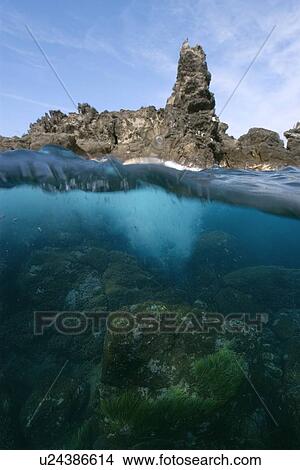 Split image of rocks and underwater substrate, St. Peter and St. Paul's rocks, Brazil, Atlantic Ocean View Large Photo Image Picture - Split image of rocks and underwater substrate, St. Peter and St. Paul's rocks, Brazil, Atlantic Ocean . Fotosearch