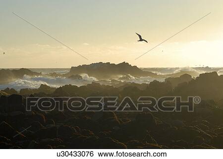 Sunset 40 mph wind storm, Monterey Bay, California, Pacific Ocean, National Marine Sanctuary View Large Photo Image Stock Photograph - Sunset 40 mph wind storm, Monterey Bay, California, Pacific Ocean, National Marine Sanctuary. Fotosearch