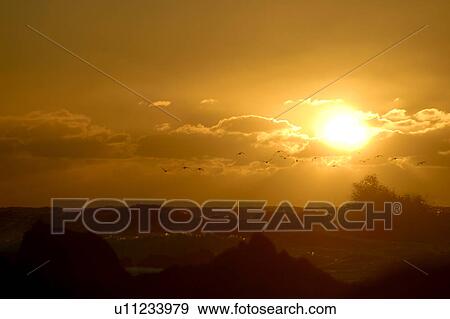 Stock Photo - Sunset 45 mph wind storm, waves crashing, gulls flying, Monterey bay, California, Pacific Ocean, National Marine Sanctuary. Fotosearch