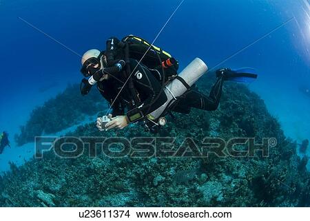 Technical Divers using Trimix, Rebreathers and technical diving equipment, Divetech, Grand Cayman, Cayman Islands, Caribbean View Large Photo Image Picture - Technical Divers using Trimix, Rebreathers and technical diving equipment, Divetech, Grand Cayman, Cayman Islands, Caribbean. Fotosearch