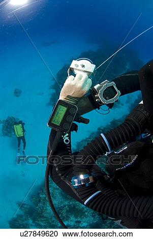 Technical Divers using Trimix, Rebreathers and technical diving equipment, Divetech, Grand Cayman, Cayman Islands, Caribbean View Large Photo Image Stock Image - Technical Divers using Trimix, Rebreathers and technical diving equipment, Divetech, Grand Cayman, Cayman Islands, Caribbean. Fotosearch