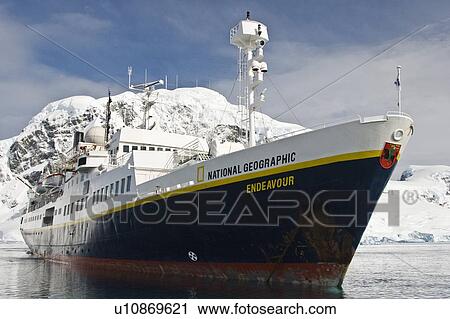 Stock Image - The Lindblad expedition ship National Geographic Endeavour operating with its fleet of Zodiacs in and around the Antarctic peninsula, Antarctica.. Fotosearch
