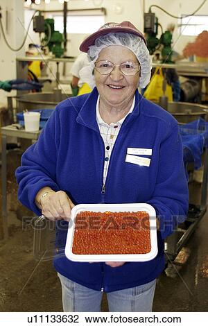 The Norquest Fish Processing Plant in Petersburg, Southeast Alaska, USA. Shown here is family owner Patty Norheim with processed fresh and wild salmon roe for the Asian fish market. View Large Photo Image Stock Image - The Norquest Fish Processing Plant in Petersburg, Southeast Alaska, USA. Shown here is family owner Patty Norheim with processed fresh and wild salmon roe for the Asian fish market.. Fotosearch