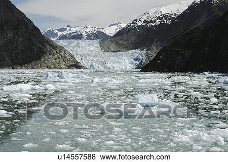 The Sawyer Glacier, a tidewater glacier at the end of Tracy Arm in Southeast Alaska, USA. View Large Photo Image Stock Photo - The Sawyer Glacier, a tidewater glacier at the end of Tracy Arm in Southeast Alaska, USA.. Fotosearch