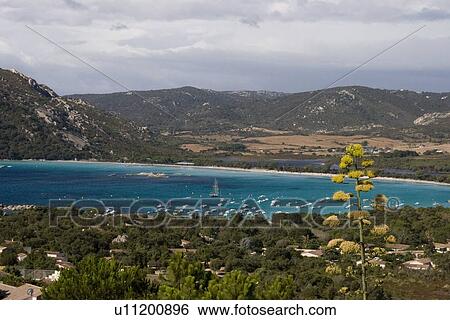 Stock Photograph - The white sands and turquoise waters of Santa Giulia, Corsica. Fotosearch