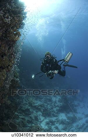 Stock Image - Underwater Photographer on Red Sea coral reef, Red Sea, Egypt. Fotosearch