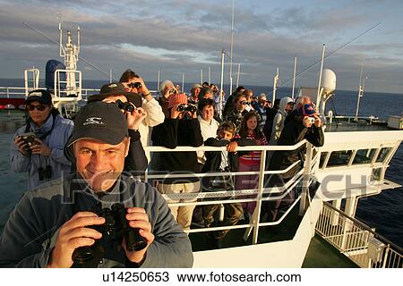 Whale-watchers on the top deck of 30, 000 ton ferry, off the coast of France, as they cross the Bay of Biscay. View Large Photo Image Stock Image - Whale-watchers on the top deck of 30, 000 ton ferry, off the coast of France, as they cross the Bay of Biscay.. Fotosearch