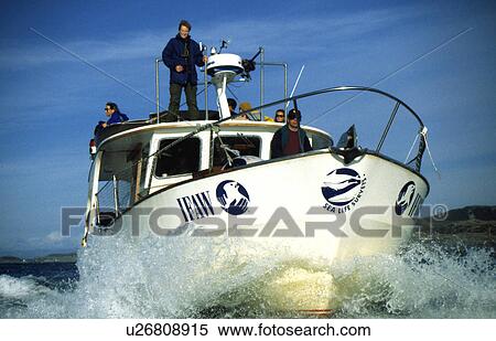 Stock Photography - Whale watching boat run by Sea Life Surveys, with lookouts on the wheel house roof. Hebrides, Scotland. Fotosearch