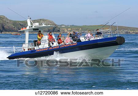 Wildlife adventure boat trip. Ramsey Island, Pembrokeshire, Wales, UK View Large Photo Image Stock Photograph - Wildlife adventure boat trip. Ramsey Island, Pembrokeshire, Wales, UK. Fotosearch
