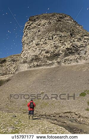 Stock Photo - A hiker with a view of the cliffs at Diskobukta on the western side of EdgeÏya in the Svalbard Archipelago in the Barents Sea.. Fotosearch