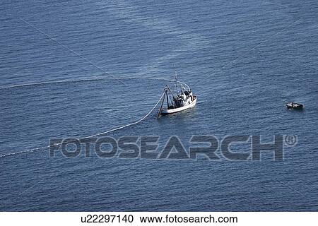 Stock Image - Aerial view of the purse-seiner fishery for salmon off Point Augustus, Chichagof Island, Southeast Alaska, USA. Closing the purse.. Fotosearch