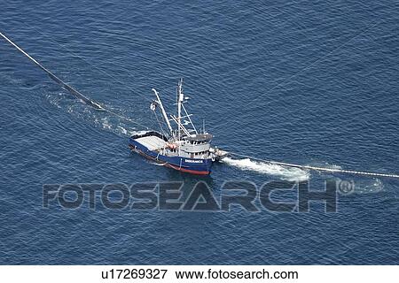 Aerial view of the purse-seiner fishery for salmon off Point Augustus, Chichagof Island, Southeast Alaska, USA. Closing the purse. View Large Photo Image Stock Photo - Aerial view of the purse-seiner fishery for salmon off Point Augustus, Chichagof Island, Southeast Alaska, USA. Closing the purse.. Fotosearch