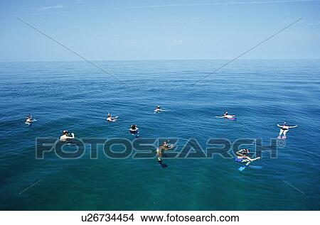 Picture - Atlantic spotted dolphins (Stenella frontalis) bow-riding boat. This could be for free ride or as a social focus. Fotosearch