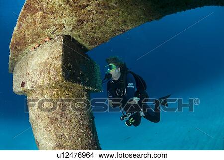 ATLANTIS sculpture park, Cayman Brac, Cayman Islands, Caribbean View Large Photo Image Picture - ATLANTIS sculpture park, Cayman Brac, Cayman Islands, Caribbean. Fotosearch