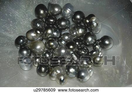 Black Pearls from Rangiroa, French Polynesia, Southern Pacific Ocean. View Large Photo Image Stock Photo - Black Pearls from Rangiroa, French Polynesia, Southern Pacific Ocean.. Fotosearch