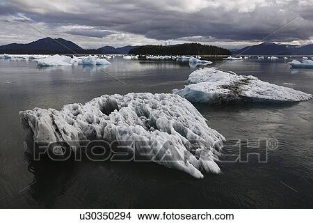 Calved icebergs and bergy bits fallen from the Le Conte Glacier in Le Conte Bay, Southeast Alaska, USA. Le Conte glacier is the southernmost tidewater glacier in the northern hemisphere. View Large Photo Image Picture - Calved icebergs and bergy bits fallen from the Le Conte Glacier in Le Conte Bay, Southeast Alaska, USA. Le Conte glacier is the southernmost tidewater glacier in the northern hemisphere.. Fotosearch