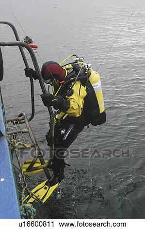 Stock Image - Cold ware Scuba Diver climbing up ladder, Scapa Flow, Orkney islands, Scotland, UK, North Sea. Fotosearch