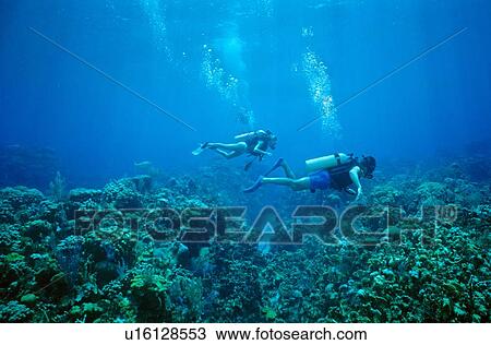 Stock Image - Diver on Greenhouse Reef, Cayman Islands. Fotosearch