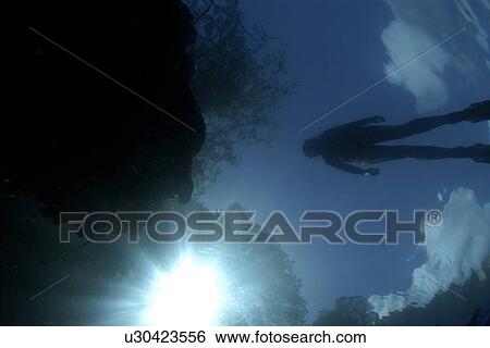 Diver silhouette on Rock Island lagoon, Palau, Micronesia View Large Photo Image Stock Photograph - Diver silhouette on Rock Island lagoon, Palau, Micronesia. Fotosearch