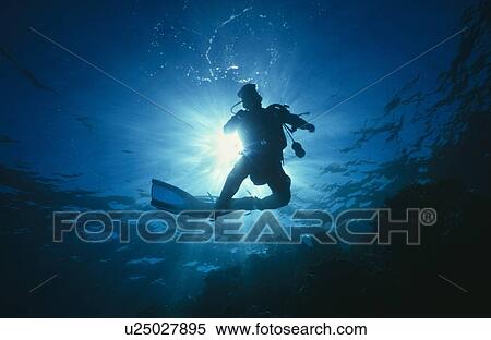 Diver silhouette. View Large Photo Image Stock Photography - Diver silhouette.. Fotosearch