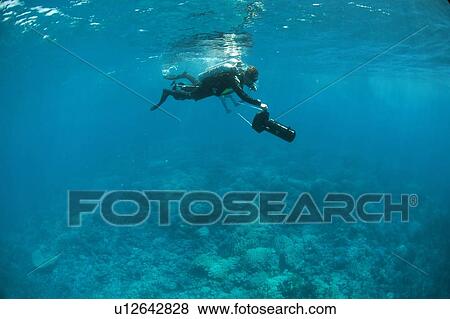 Stock Photo - Diver with scooter. Hurghada, Red Sea, Egypt.. Fotosearch