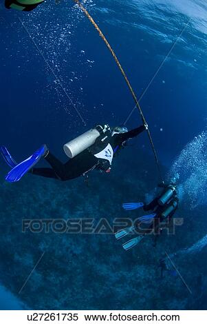Divers waiting on decompression line, Cayman Brac, Cayman Islands, Caribbean View Large Photo Image Stock Photography - Divers waiting on decompression line, Cayman Brac, Cayman Islands, Caribbean. Fotosearch