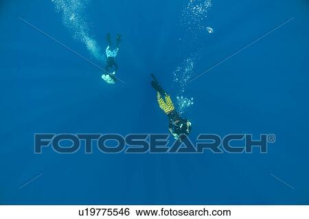 Stock Photograph - Divers. Zabargad, Red Sea, Egypt.. Fotosearch