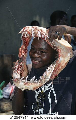 Picture - Fishermen displaying tiger shark (Galeocerdo cuvier) jaw in the fish market. Dar es Salaam, Tanzania. Fotosearch