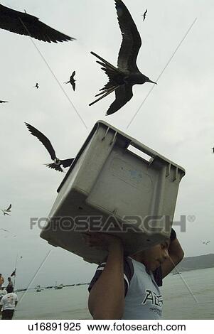 Fishermen General. (rr) View Large Photo Image Stock Photography - Fishermen General. (rr). Fotosearch