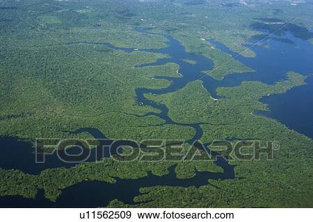 Flooded tropical rain forest, aerial view, Amazonas, Brazil View Large Photo Image Stock Photo - Flooded tropical rain forest, aerial view, Amazonas, Brazil. Fotosearch